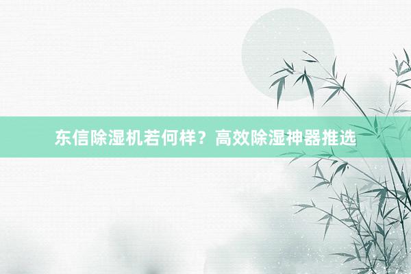 东信除湿机若何样？高效除湿神器推选