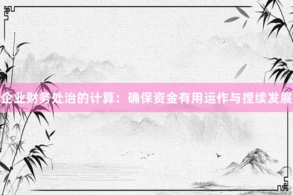 企业财务处治的计算：确保资金有用运作与捏续发展